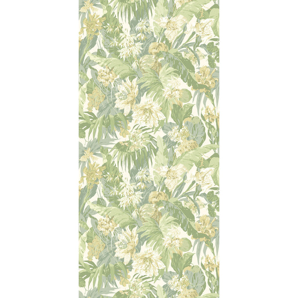 Tropical Floral - Soft Green Green By G P & J Baker | Originals Wallpaper |Botanical & Floral  Wallcovering