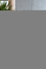 Adobe Limestone Limestone | arte