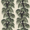 Babylon Papyrus Willow, Sample