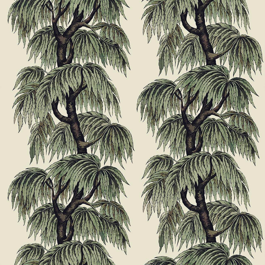 Babylon Papyrus Willow, Sample