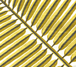 Fern Green Wallcoverings | Suncloth