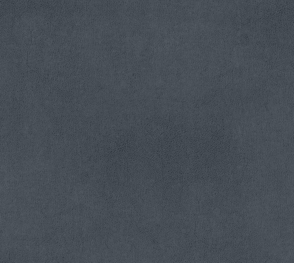 Sandbar - Castanet | Commercial Fabric | Los Angeles Fabrics