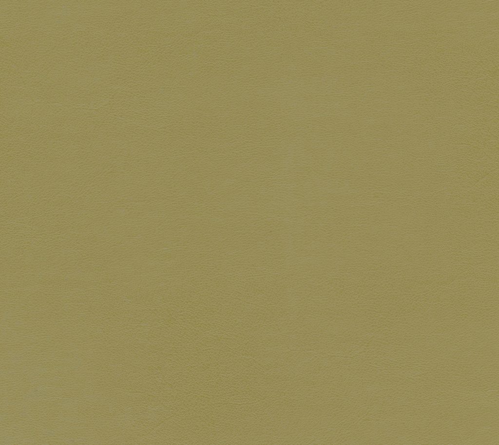 Sandbar - Koala Wallcovering | Phillipe Romano