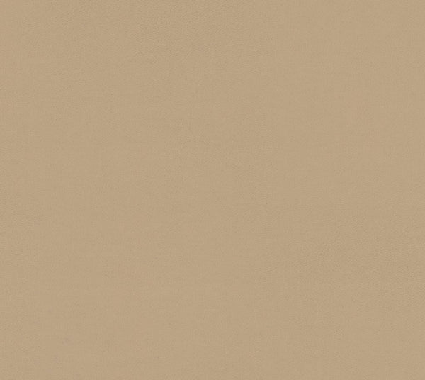 Sandbar - Courtyard | Commercial Fabric | Los Angeles Fabrics