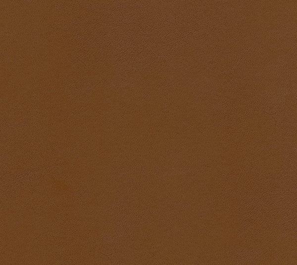 Sandbar - Junglepath | Commercial Fabric | Los Angeles Fabrics