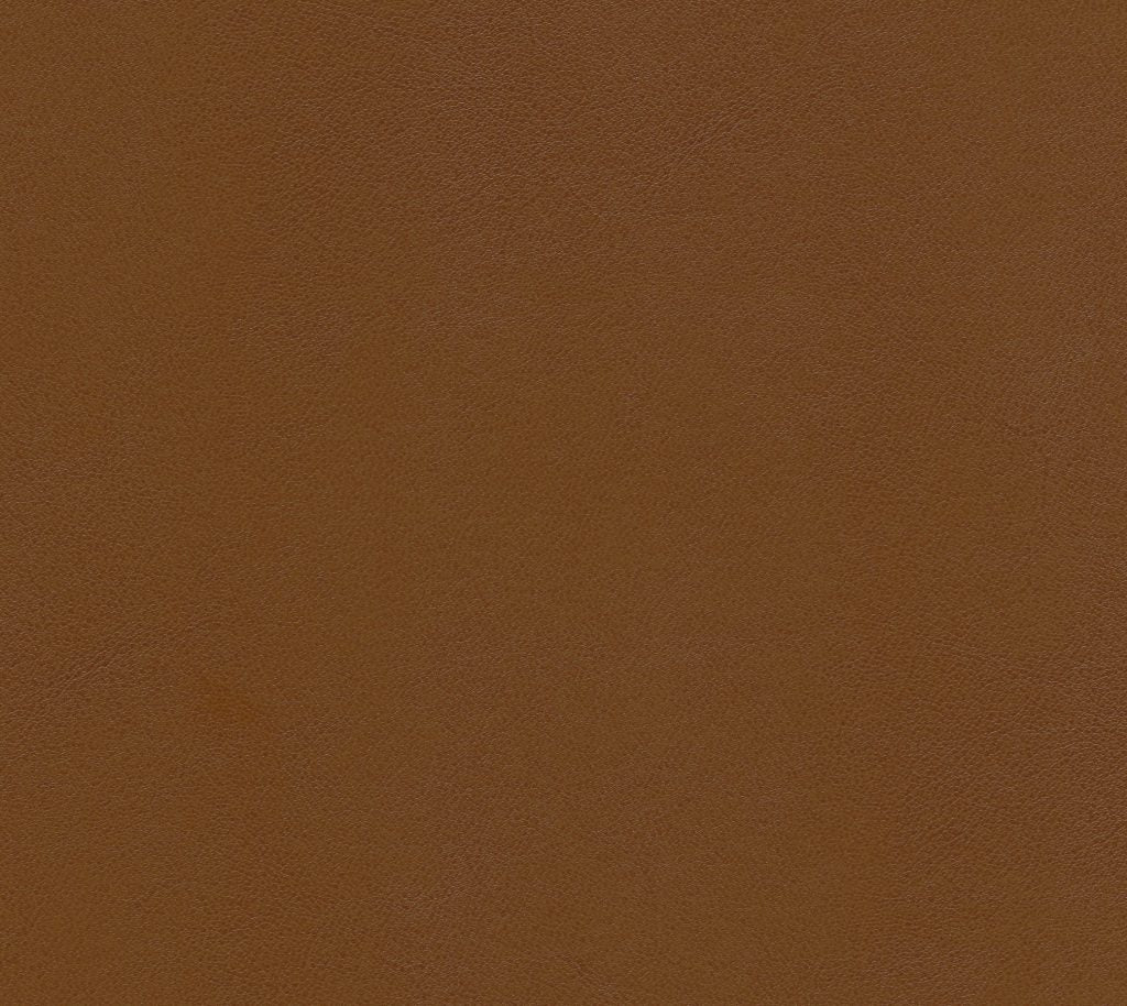 Sandbar - Junglepath Wallcovering | Phillipe Romano