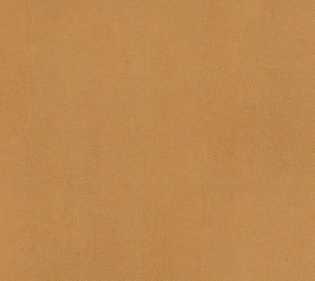 Sandbar - Veldt Wallcovering | Phillipe Romano