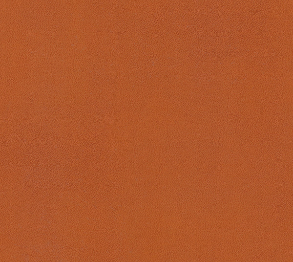 Sandbar | Commercial Fabric | Los Angeles Fabrics