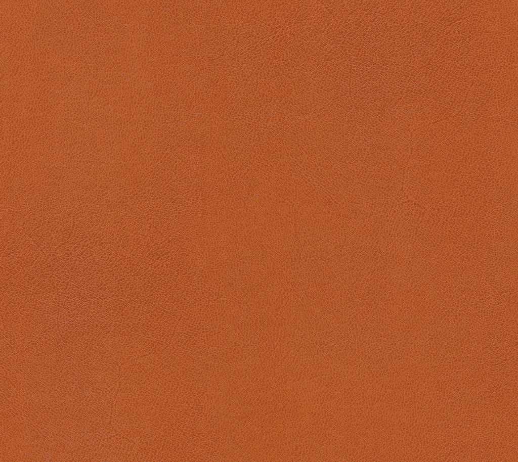 Sandbar Wallcovering | Phillipe Romano
