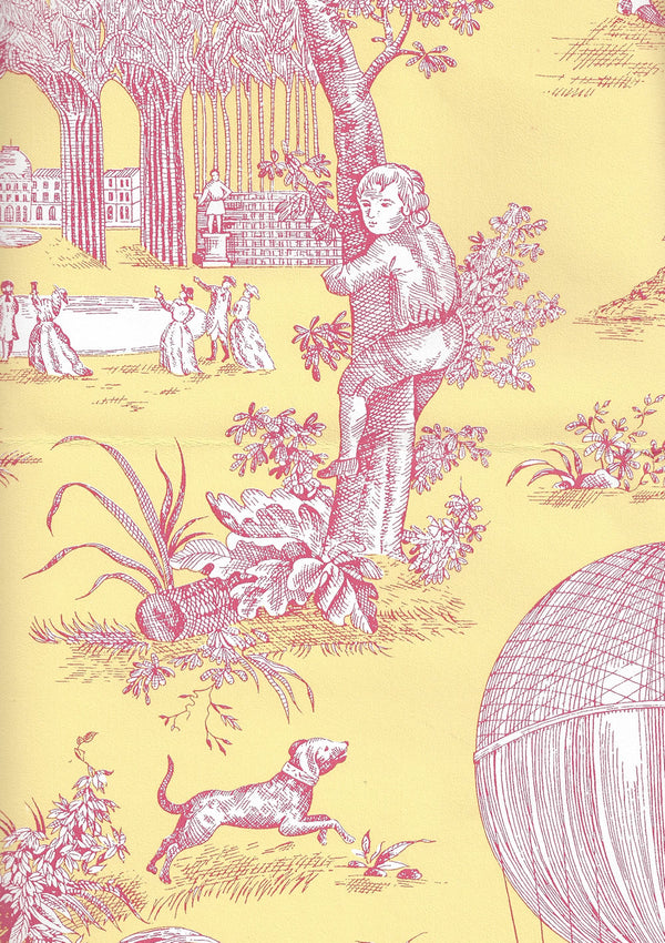 Ballon de Gonesse Fuschia Citron Screen Printed | China Seas