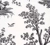 Ballon de Gonesse Toile, Noir