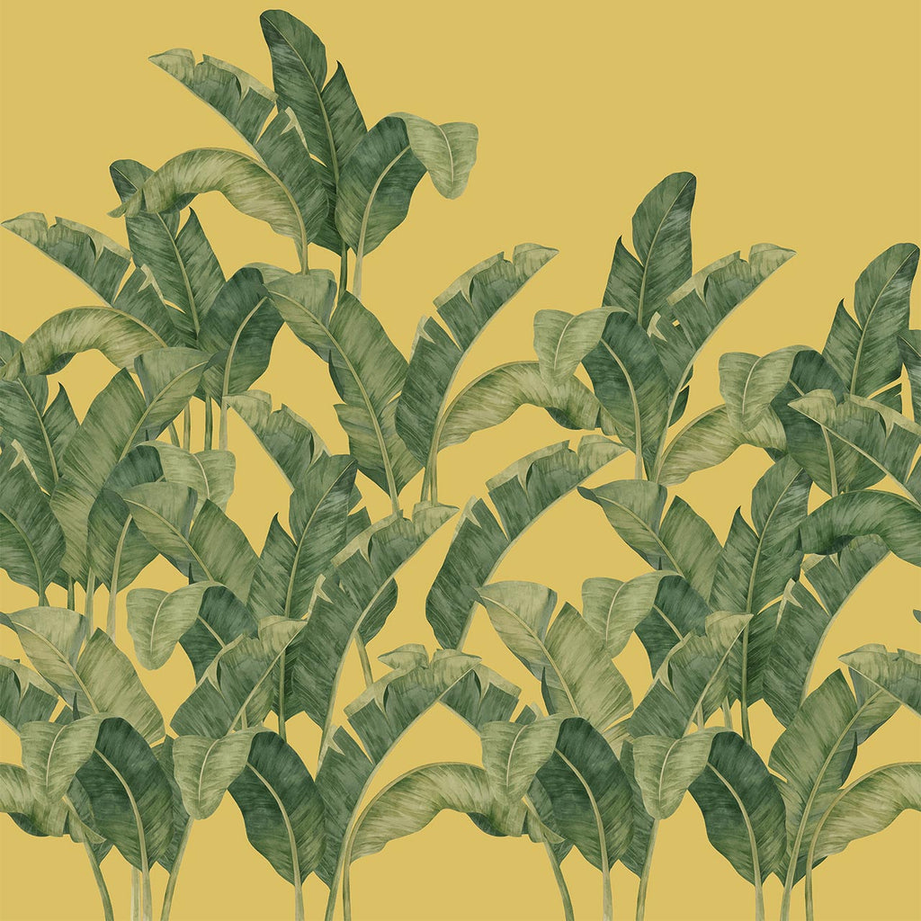 Bananella, Sample Type II Vinyl