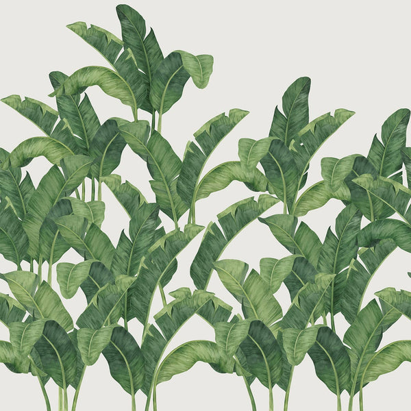 Bananella, Sample Type II Vinyl Wallcoverings | Newwall
