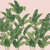Bananella, Sample Type II Vinyl