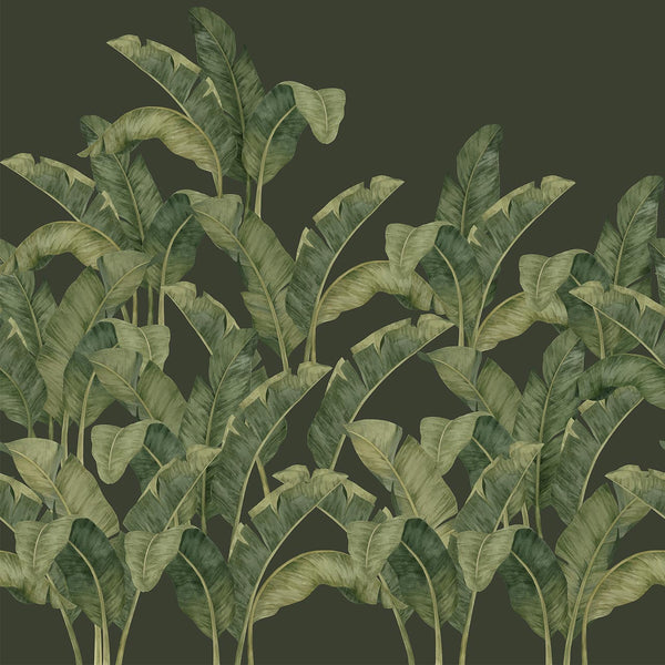 Bananella, Sample Type II Vinyl Wallcoverings | Newwall