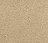 Papaya - Plumeria Wallcovering | Phillipe Romano