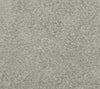 Papaya - Cyclone Wallcovering | Phillipe Romano