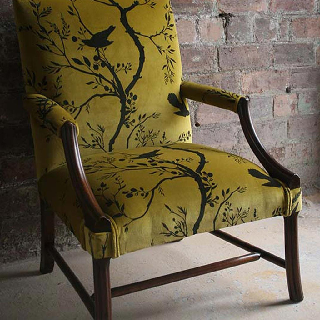 Birdbranch Stripe Velvet Black on Honey