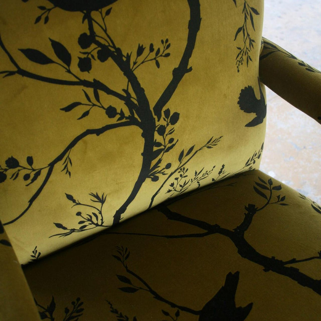 Birdbranch Stripe Velvet Black on Honey