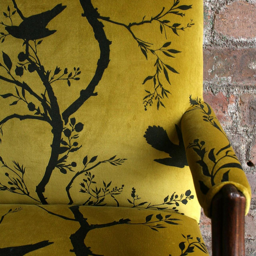 Birdbranch Stripe Velvet Black on Honey