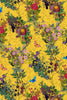 Bloomsbury Garden Cadmium
