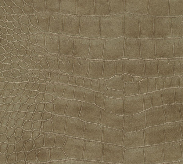 Manioc - Bazaar | Commercial Fabric | Los Angeles Fabrics