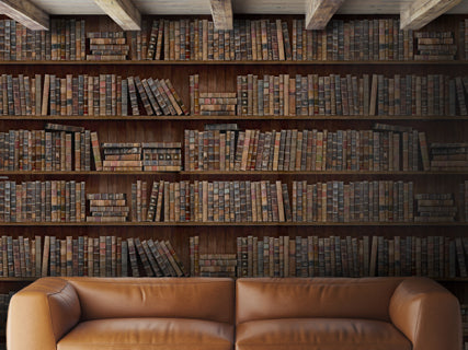 Book Shelves Premium - Blue, Green, Red, Brown Wallcovering | Mind the Gap