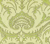 Borghese, Brown Asperge Celadon on Cream