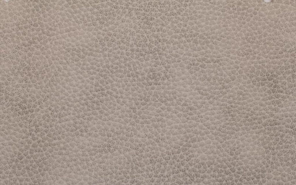 Oasis - Seashell Wallcovering | Phillipe Romano