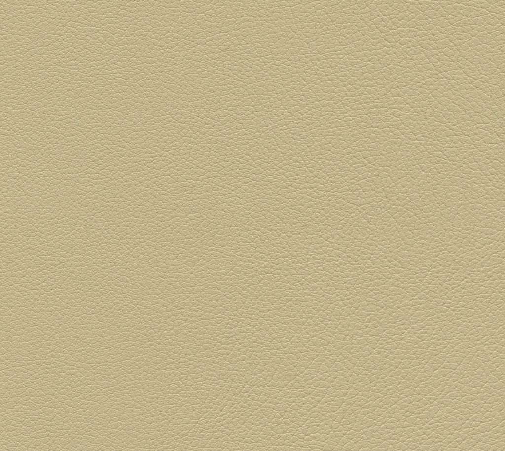 Caiman - Canyonridge Wallcovering | Phillipe Romano