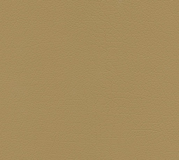 Caiman - Sinapis | Commercial Fabric | Los Angeles Fabrics
