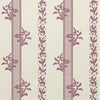 Brio Wallpaper Fig