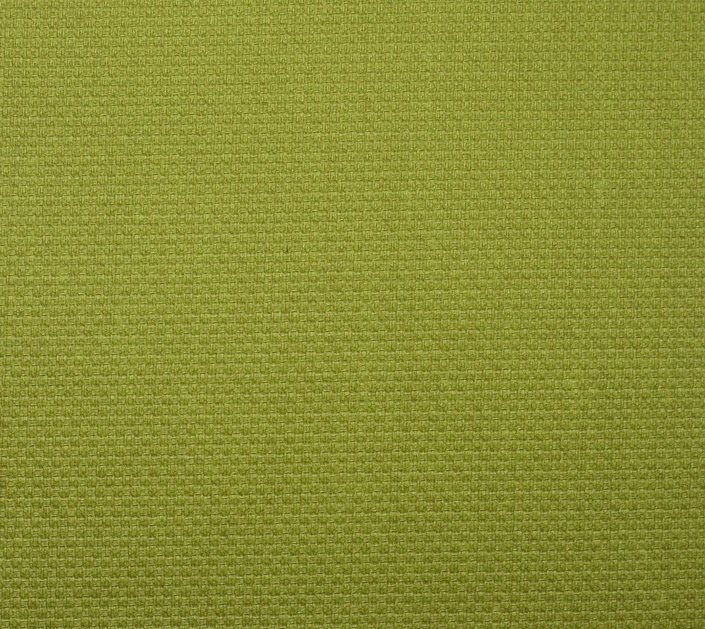 Anchorage - Creeper Wallcovering | Phillipe Romano