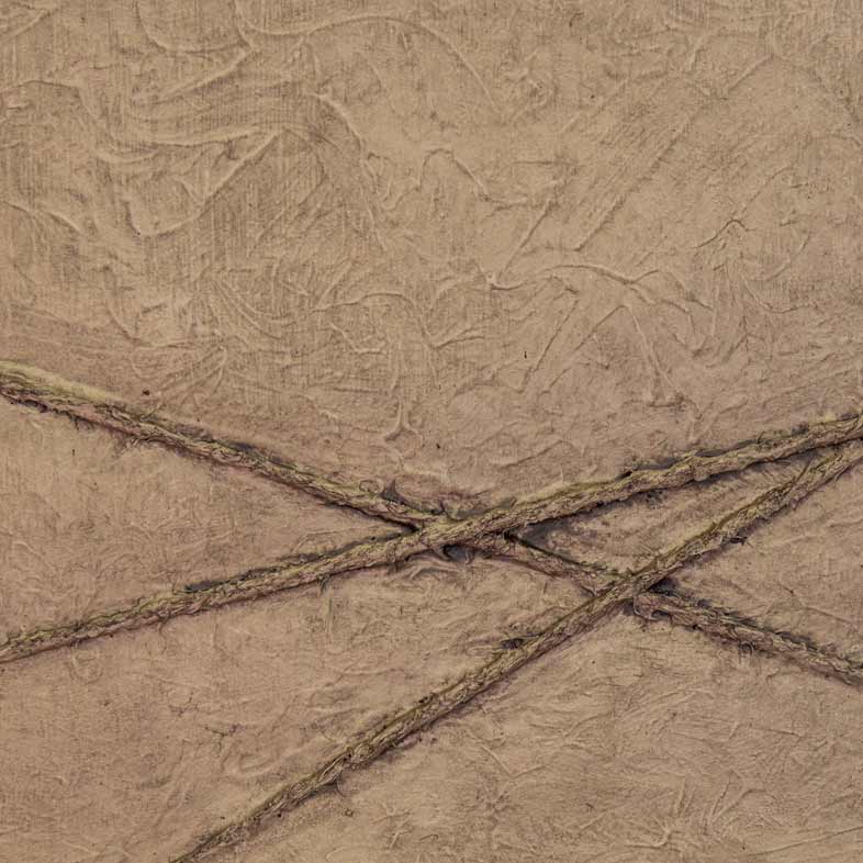 Broken Lines Adonis