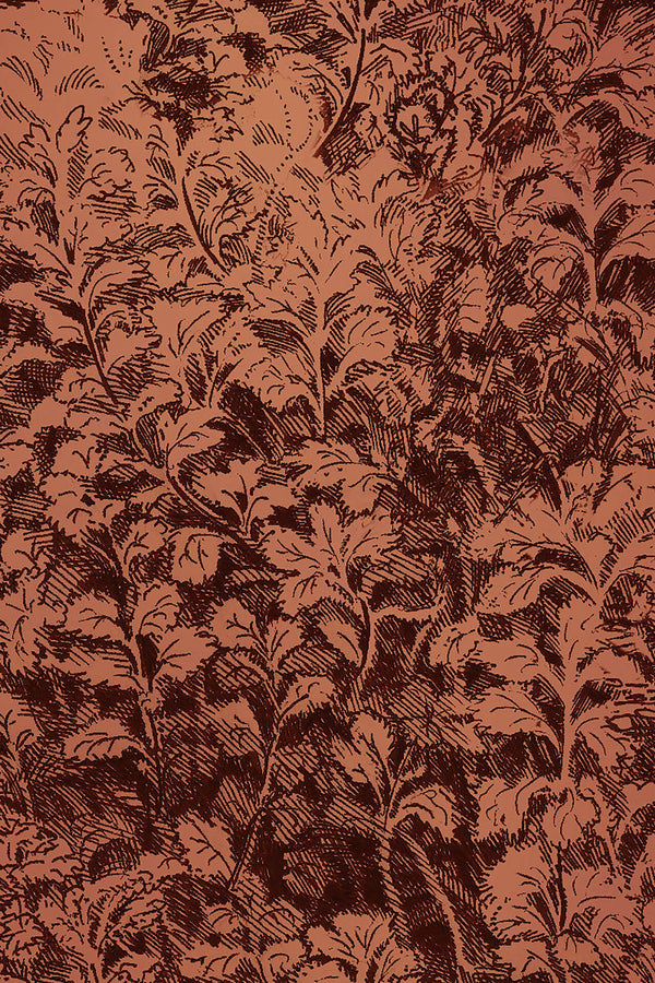 Brush Clay | Poppy Print Studio Wallcovering