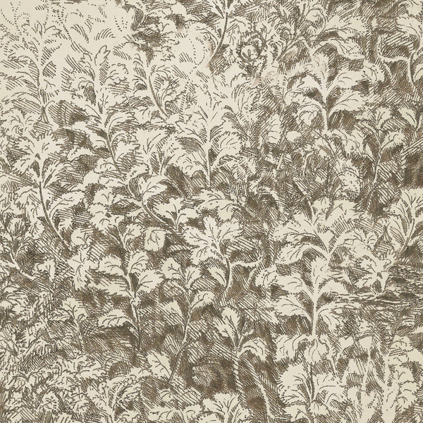 Brush Dune | Poppy Print Studio Wallcovering