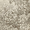Brush Dune