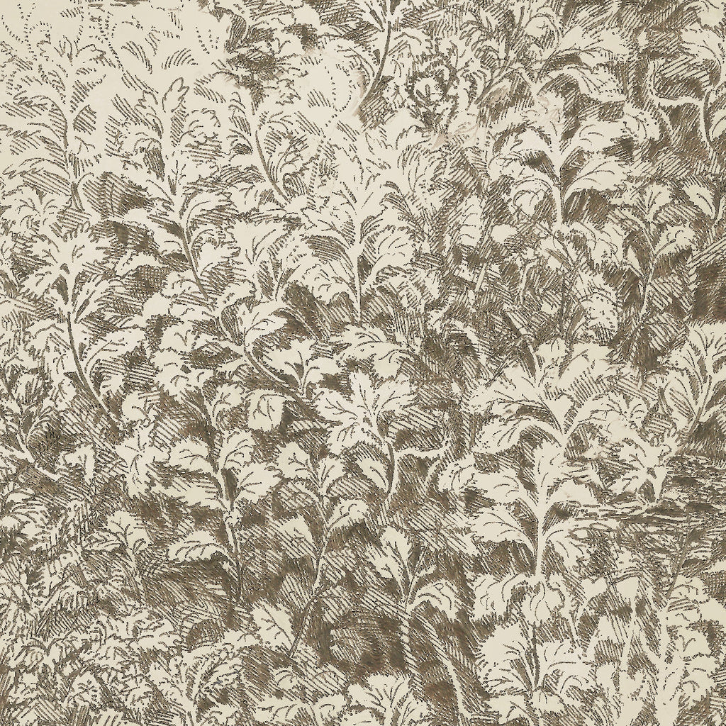 Brush Dune