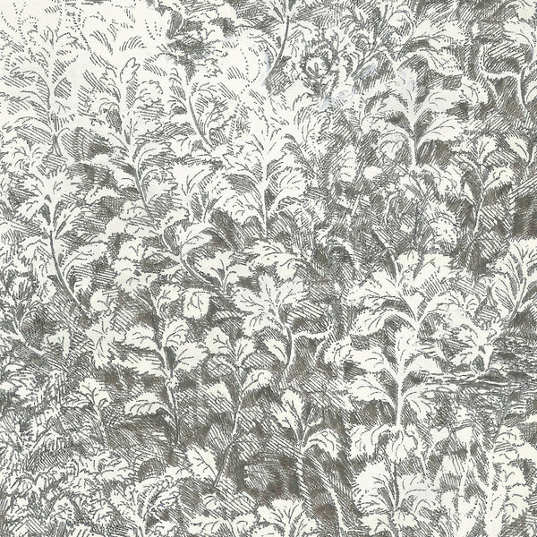 Brush Ivory | Poppy Print Studio Wallcovering