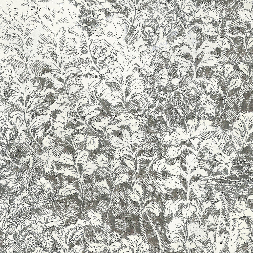 Brush Ivory