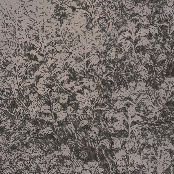 Brush Willow | Poppy Print Studio Wallcovering