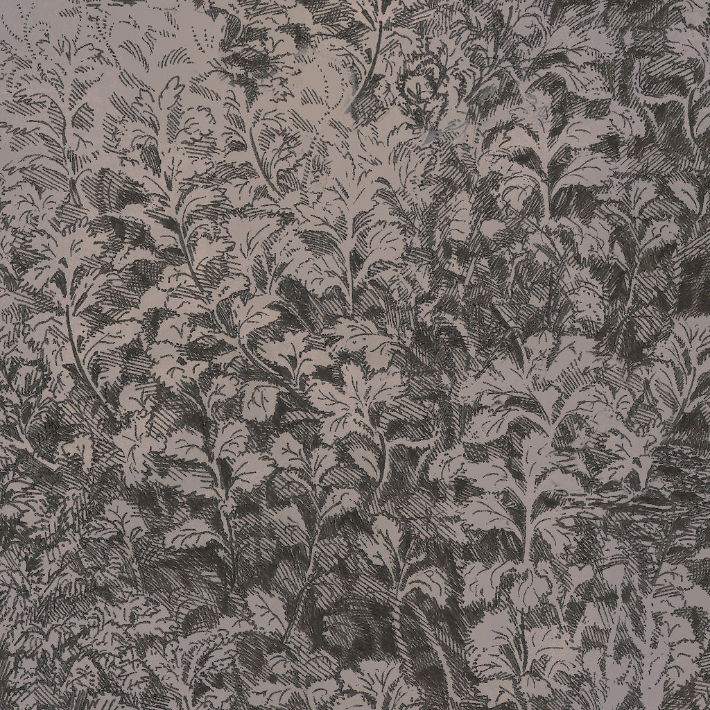 Brush Willow