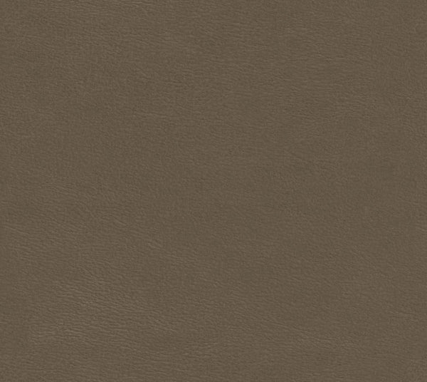 Canyon - Chapati | Commercial Fabric | Los Angeles Fabrics