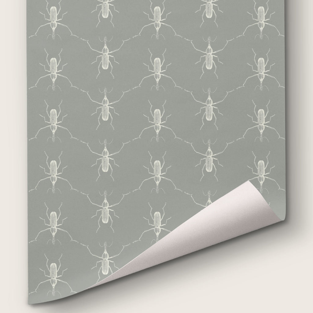 Buggie Grey's Anatomy