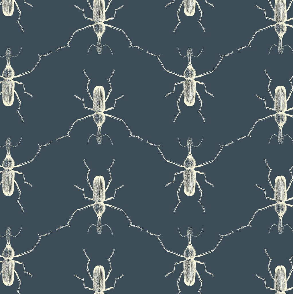 Buggie Moonshadow
