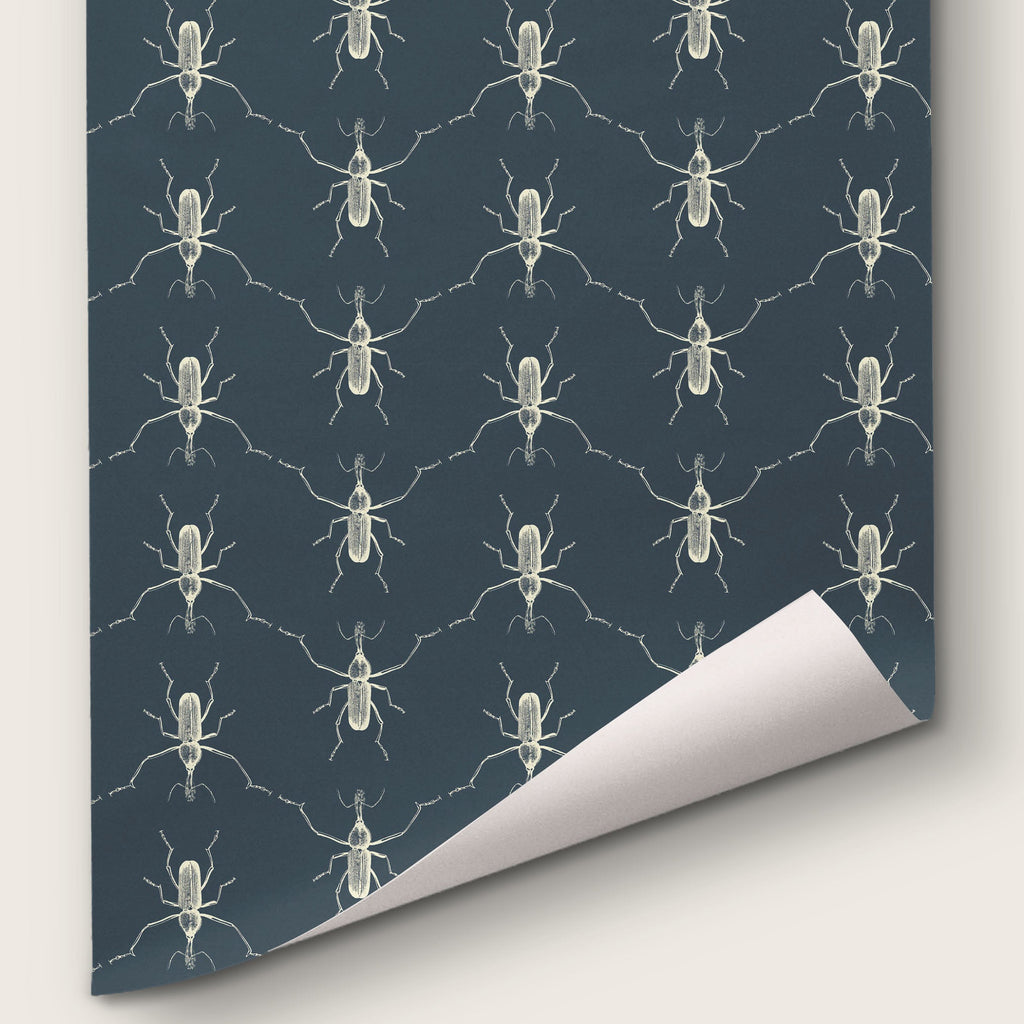 Buggie Moonshadow