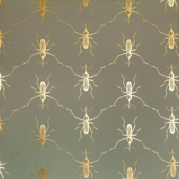 Buggie Flashy Cadet | Abnormals Anonymous Wallcovering