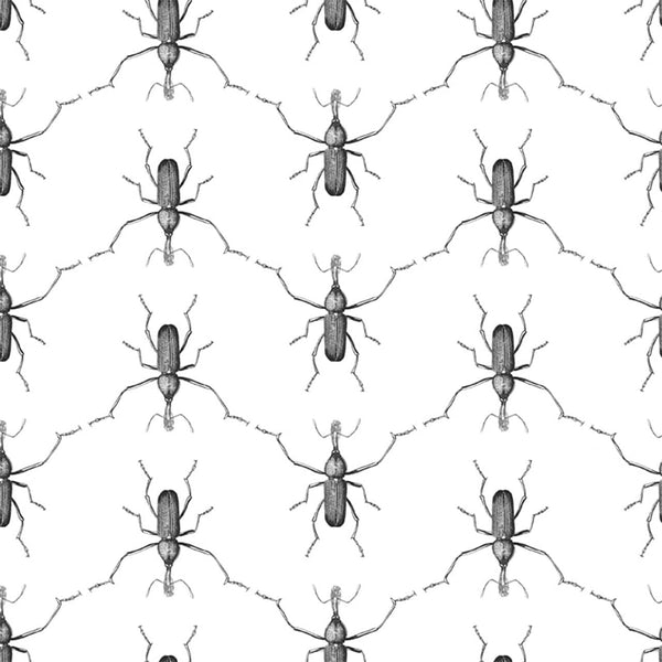 Buggie Men in Black | Abnormals Anonymous Wallcovering