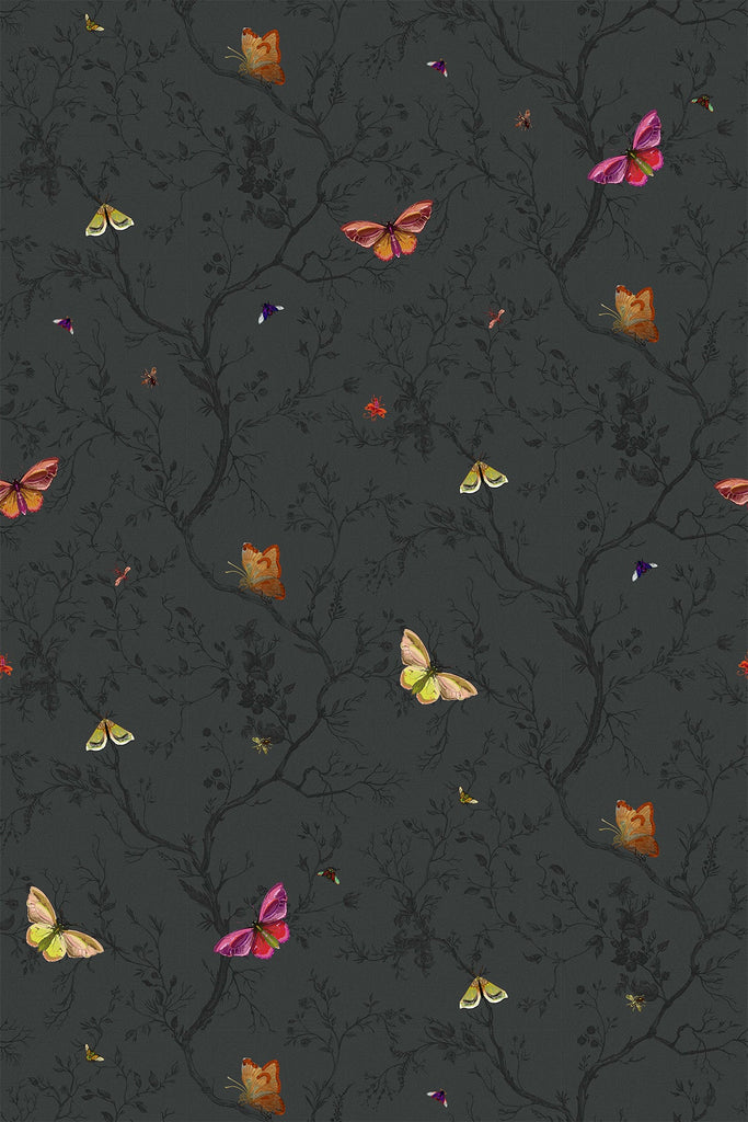 Butterflies Barely Black