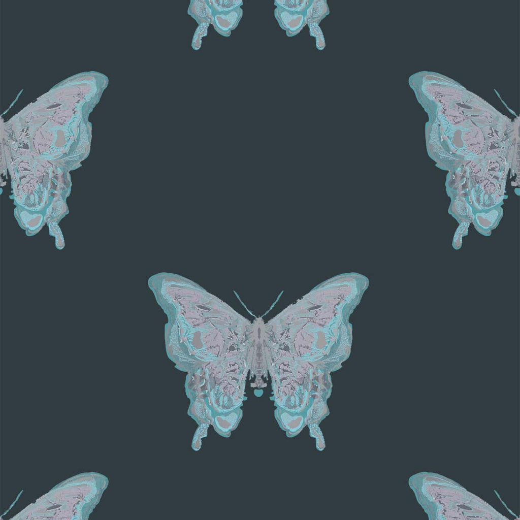 Butterfly Blues & Silver on Black